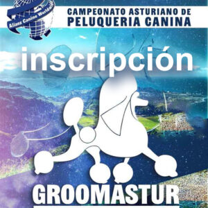 Inscripción Groomastur