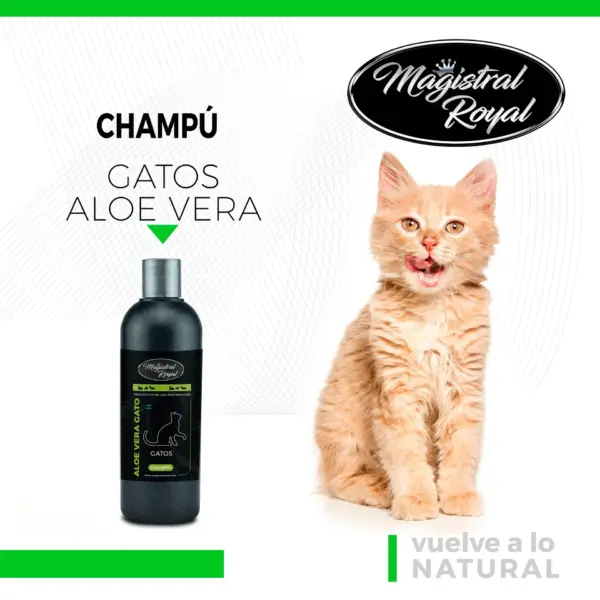 CHAMPÚ GATOS ALOE VERA
