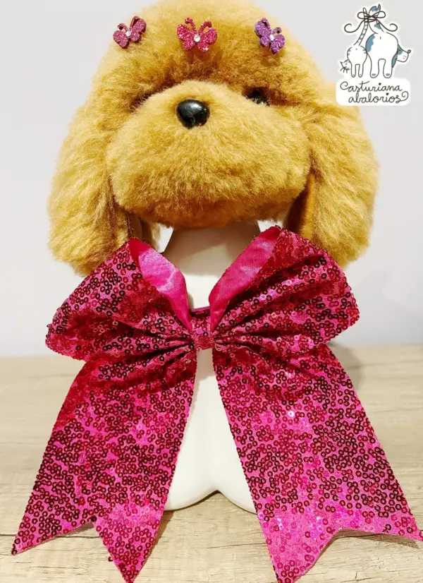 COLLAR SÚPER LAZO