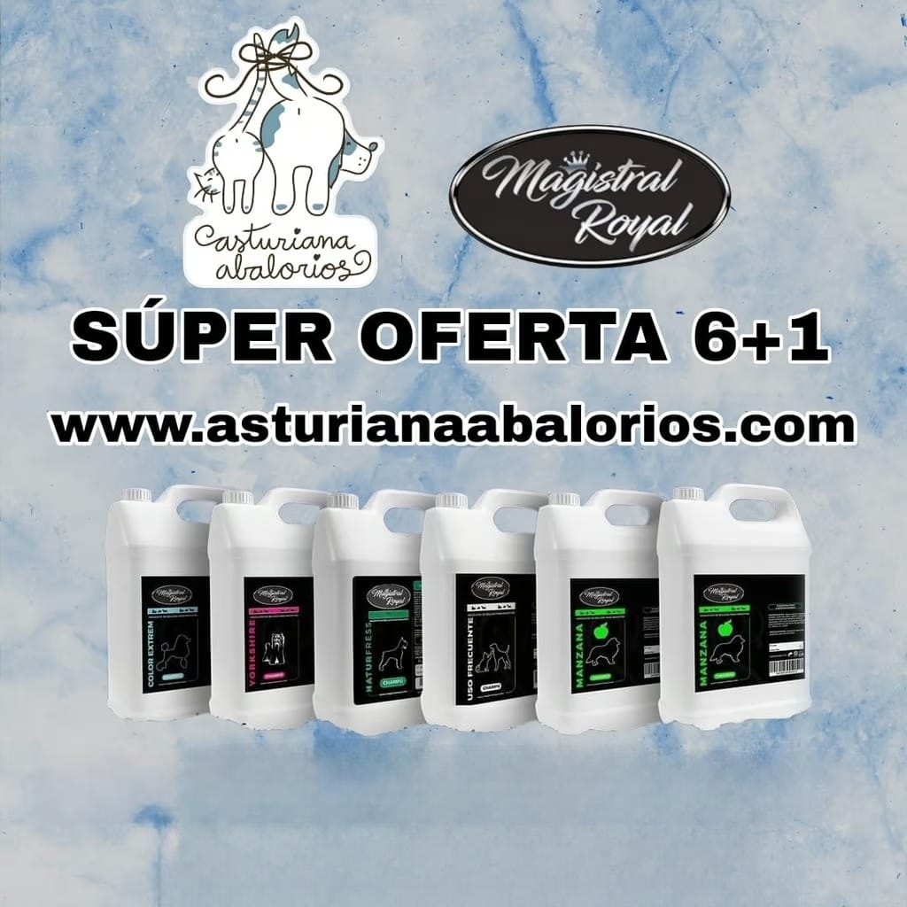 OFERTA 6+1