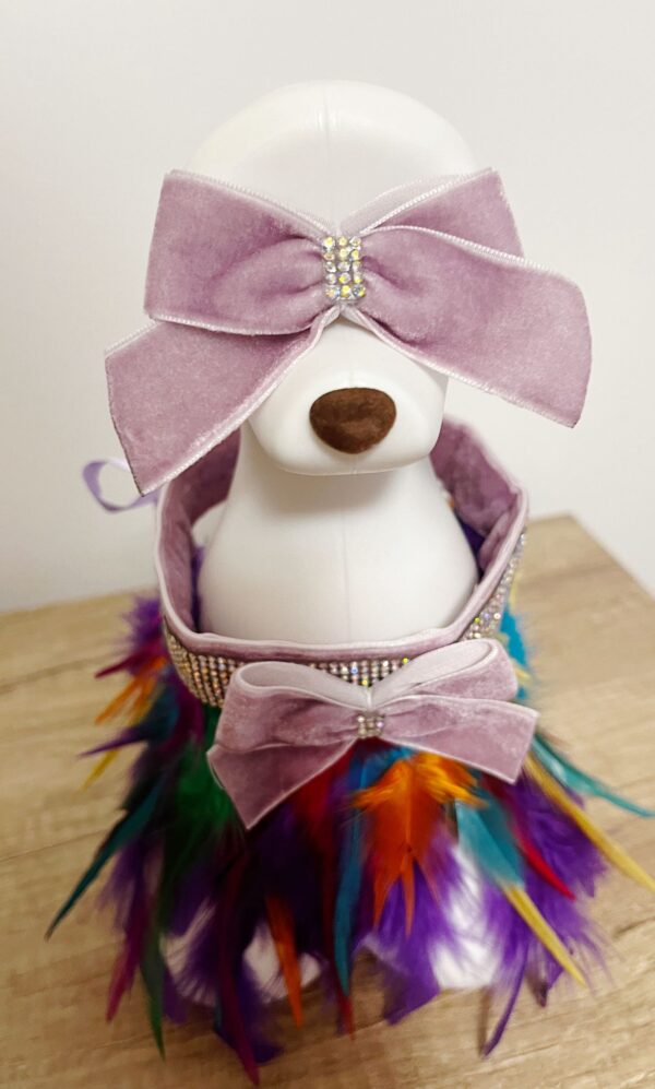 COLLAR COLOUR BOWN - Imagen 4