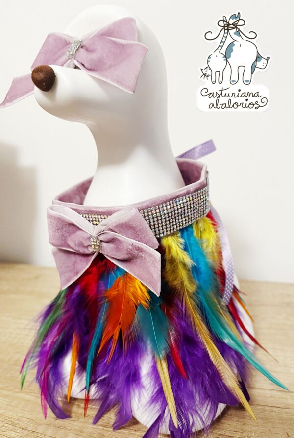 COLLAR COLOUR BOWN - Imagen 3
