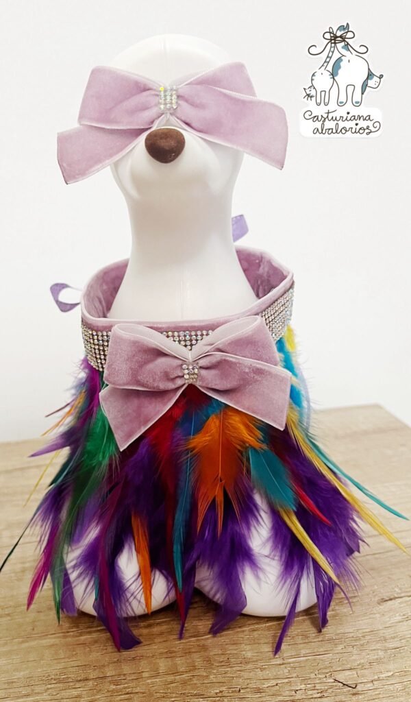 COLLAR COLOUR BOWN - Imagen 2
